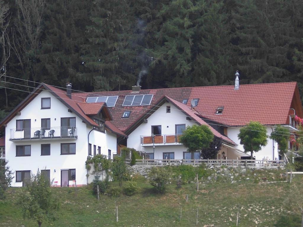 Gasthof Gruener Baum "Kongo" Amtzell Luaran gambar