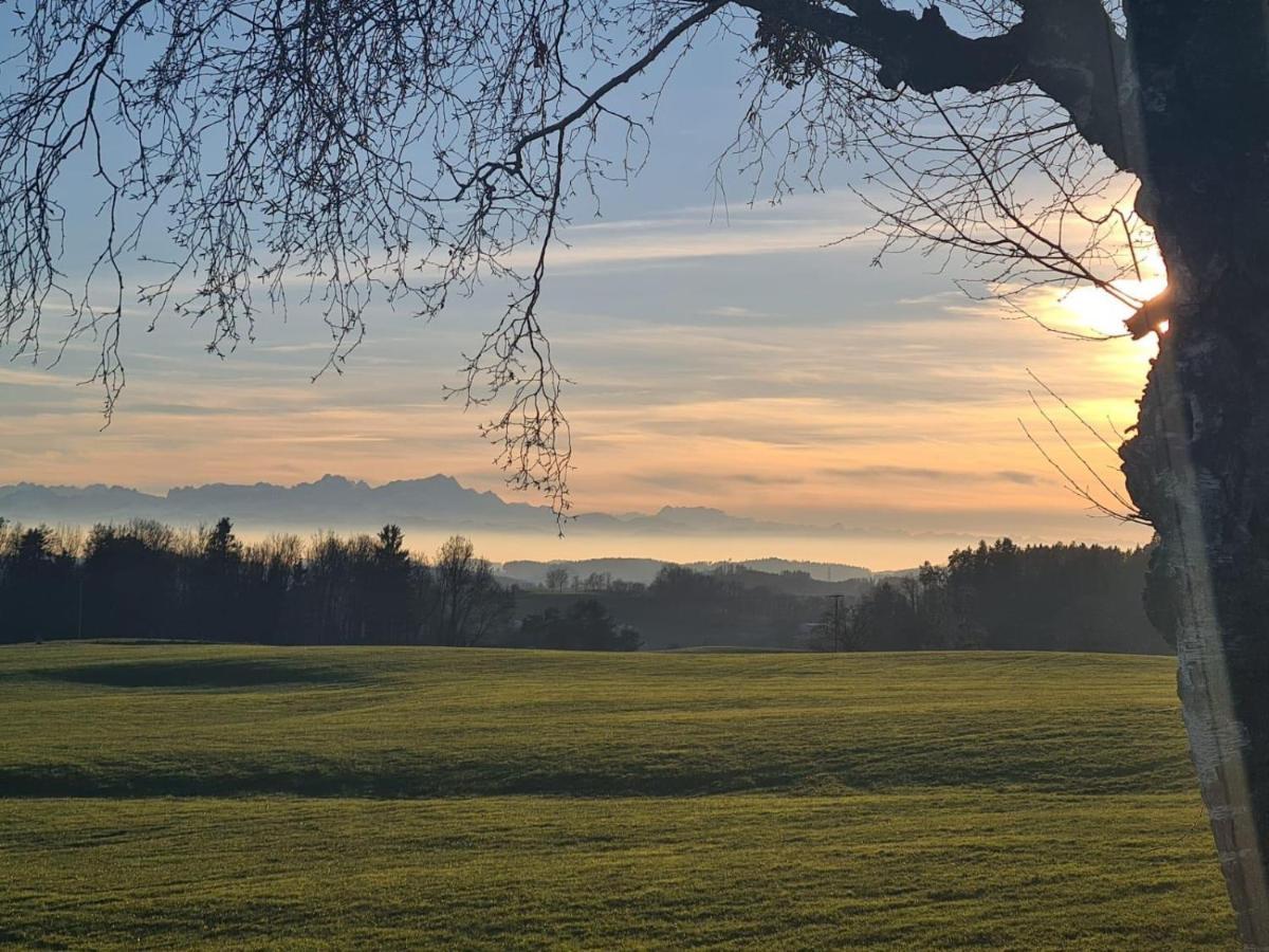 Gasthof Gruener Baum "Kongo" Amtzell Luaran gambar