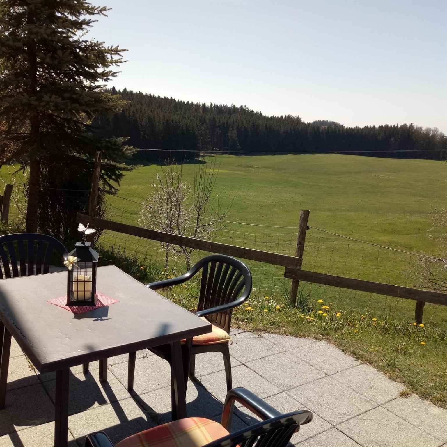 Gasthof Gruener Baum "Kongo" Amtzell Bilik gambar